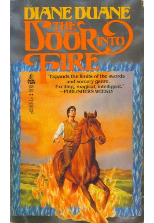 Book The Door Into Fire