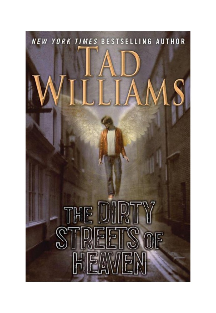 Book The Dirty Streets of Heaven