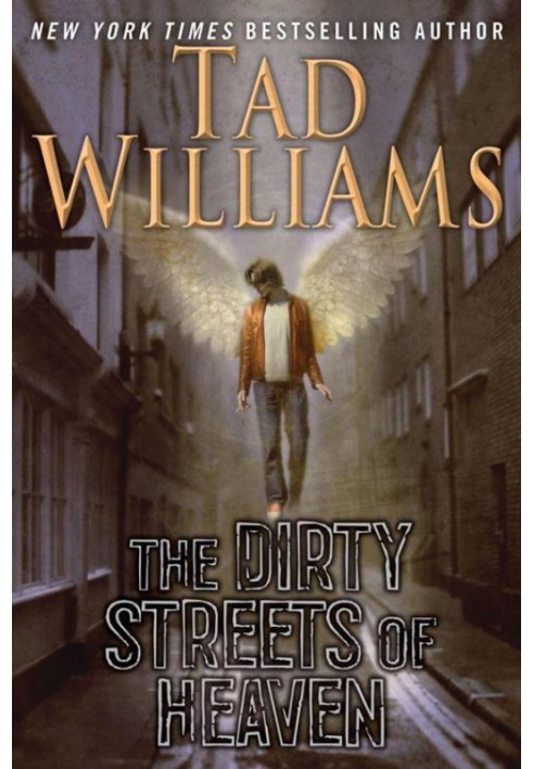 Book The Dirty Streets of Heaven