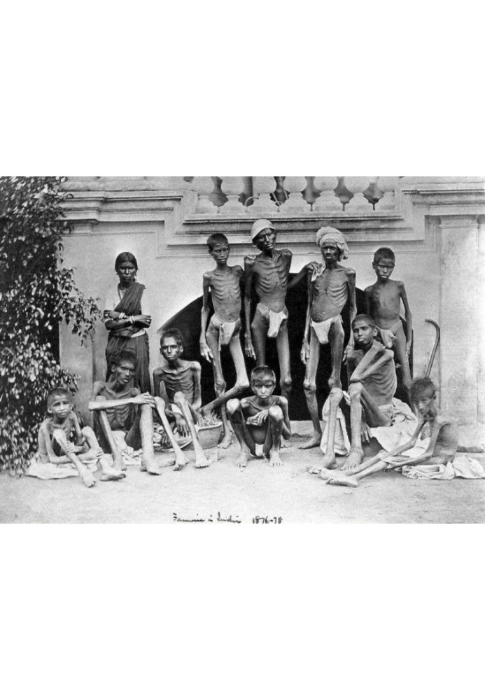 Book How England squeezed the juice out of India
