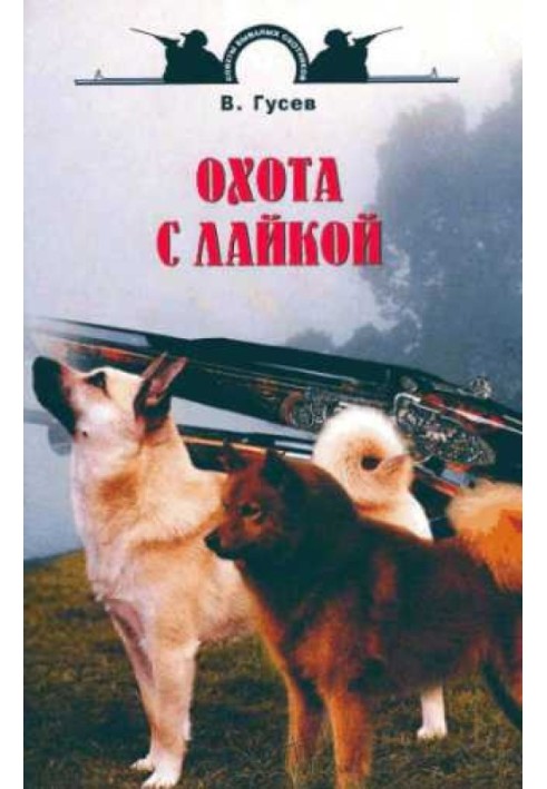 Book Hunting with a husky