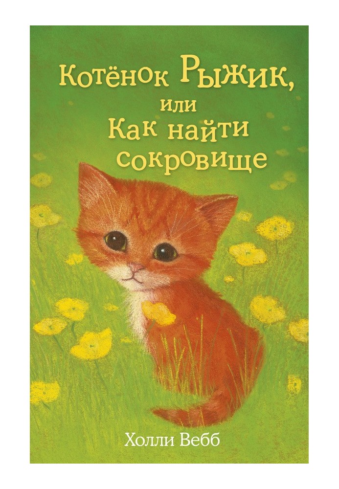Book Kitten Ryzhik, or How to Find a Treasure