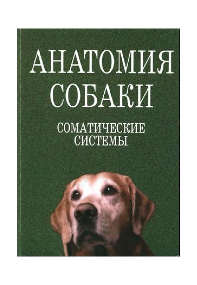 Book Anatomy of a dog. Somatic systems