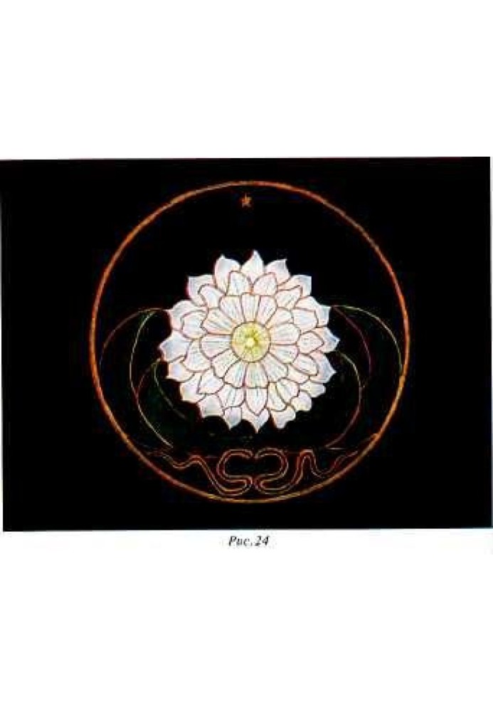Book Study of the individuation process