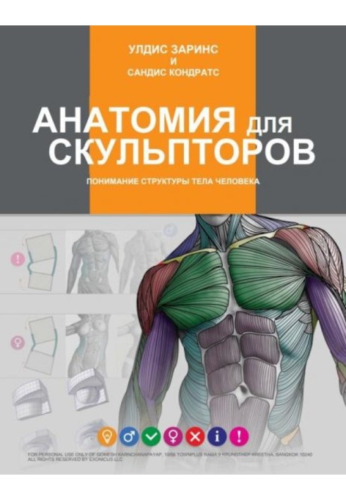 Книга Анатомия для скульпторов