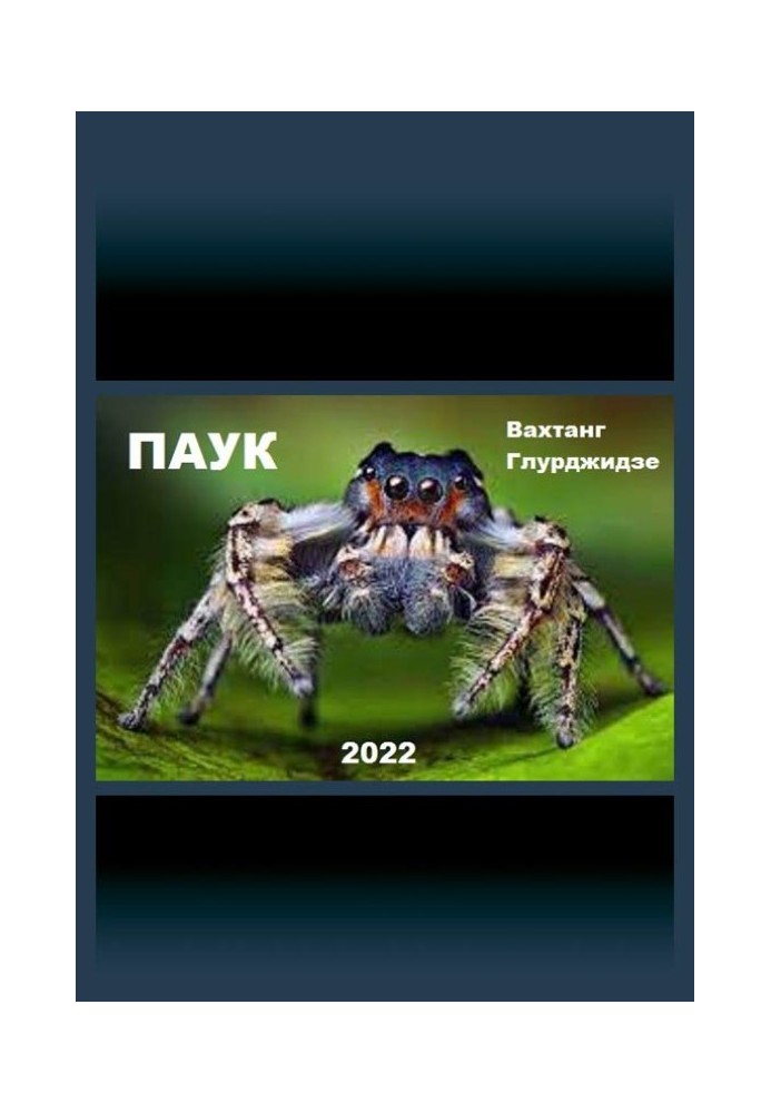 Book Spider