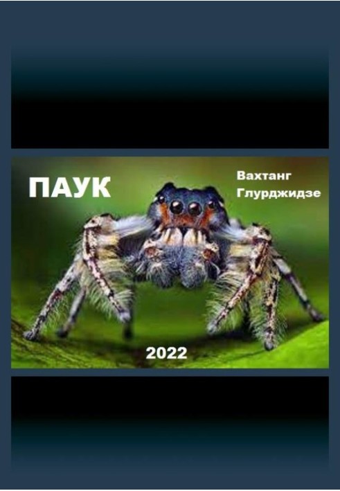 Book Spider