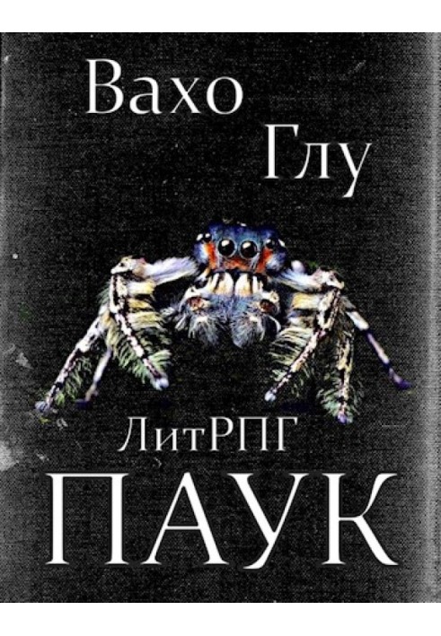 Book Spider 2