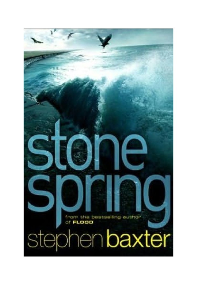 Book Stone spring