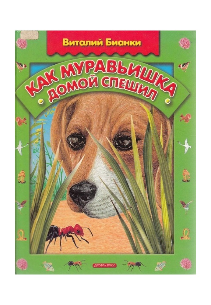 Книга Як мурашка додому поспішав
