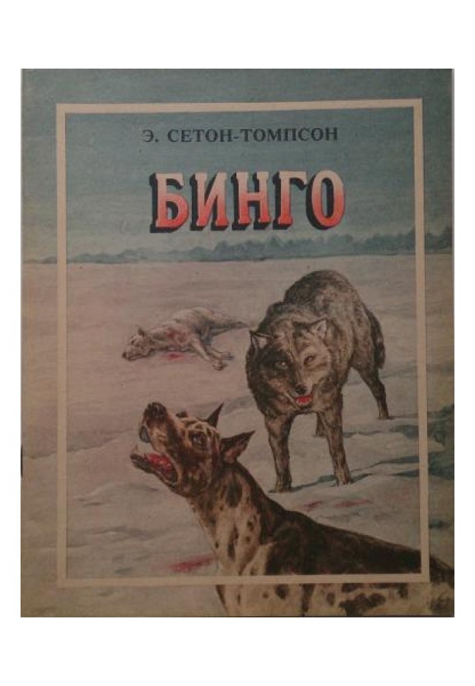 Книга Бинго