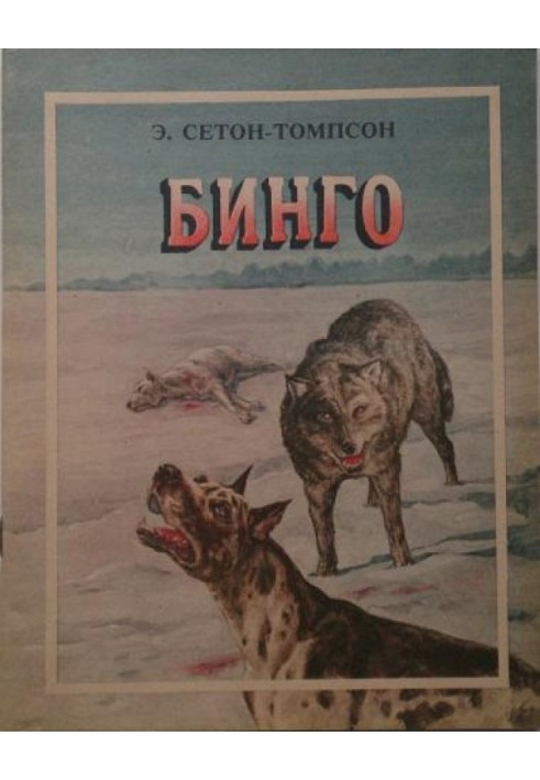 Книга Бинго