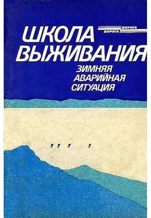 Book School of survival. Winter emergency