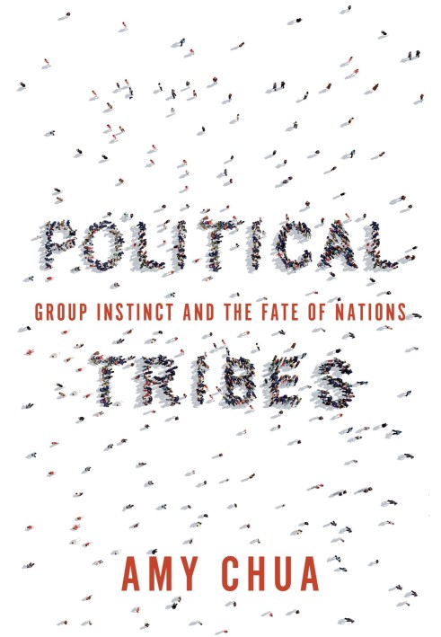 Book Political tribes