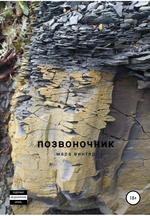 Книга Позвоночник