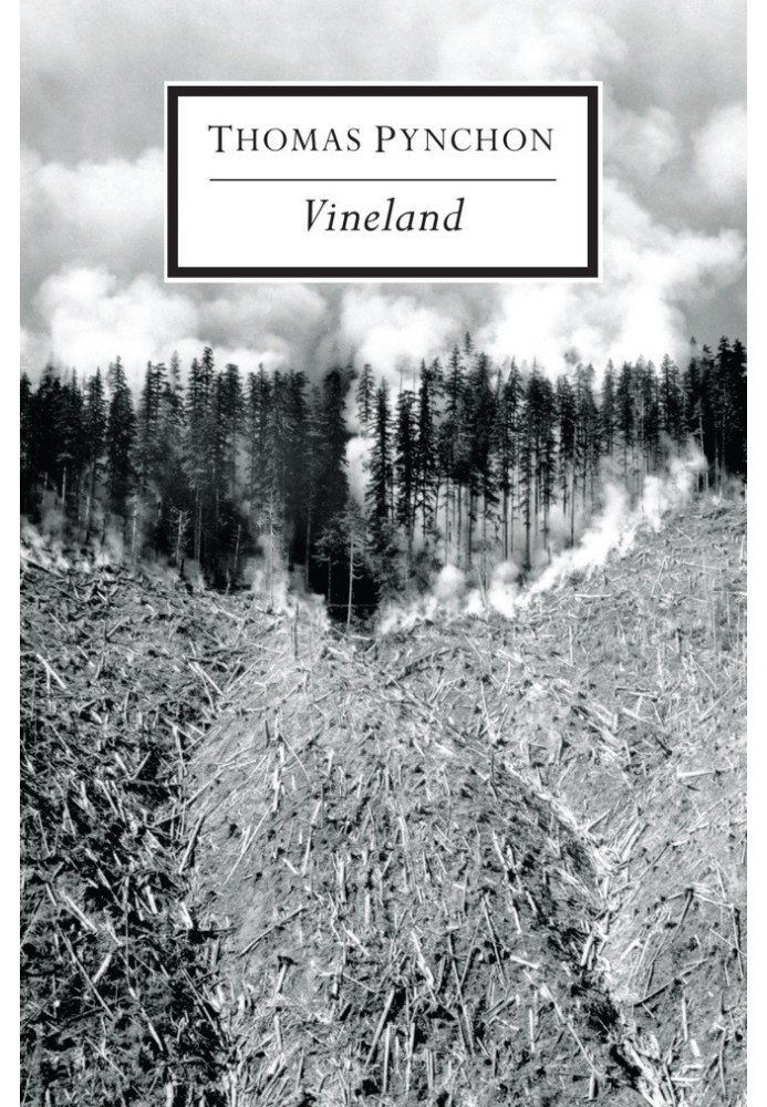 Book Vineland
