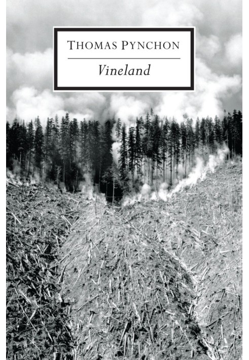 Book Vineland