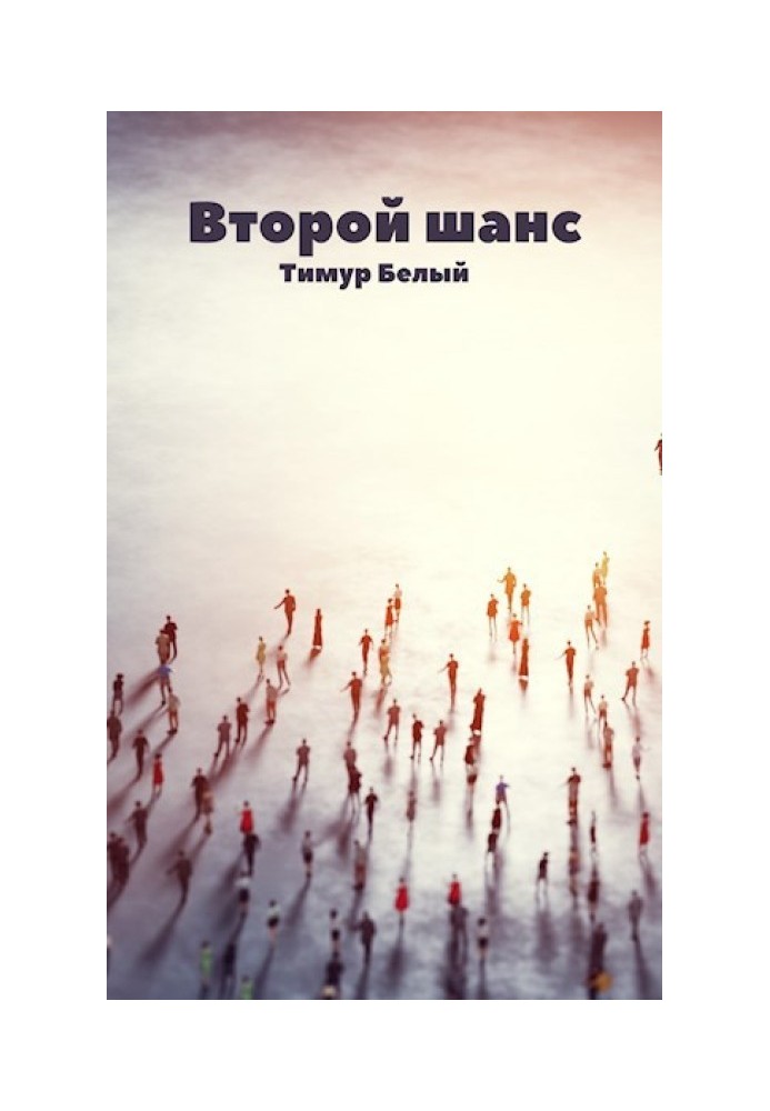 Книга Второй шанс