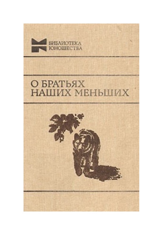 Книга Остання ніч Бандита