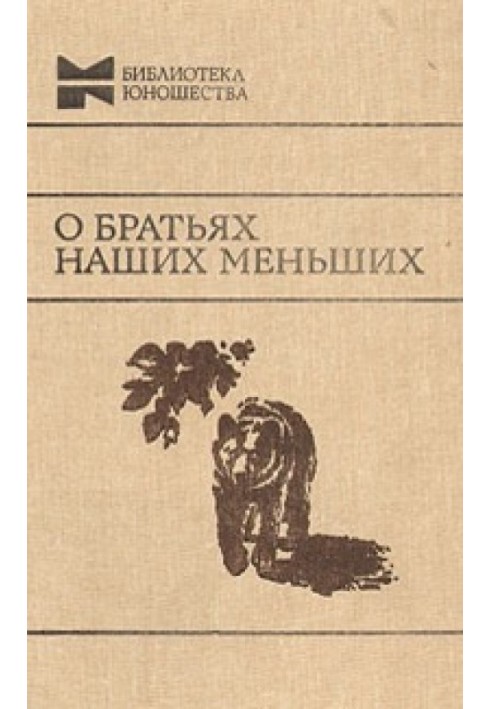 Книга Остання ніч Бандита