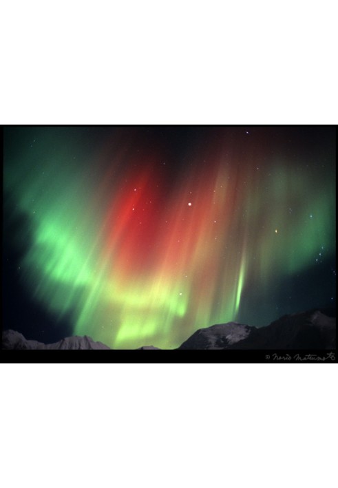 Book White nights at the ends of the earth