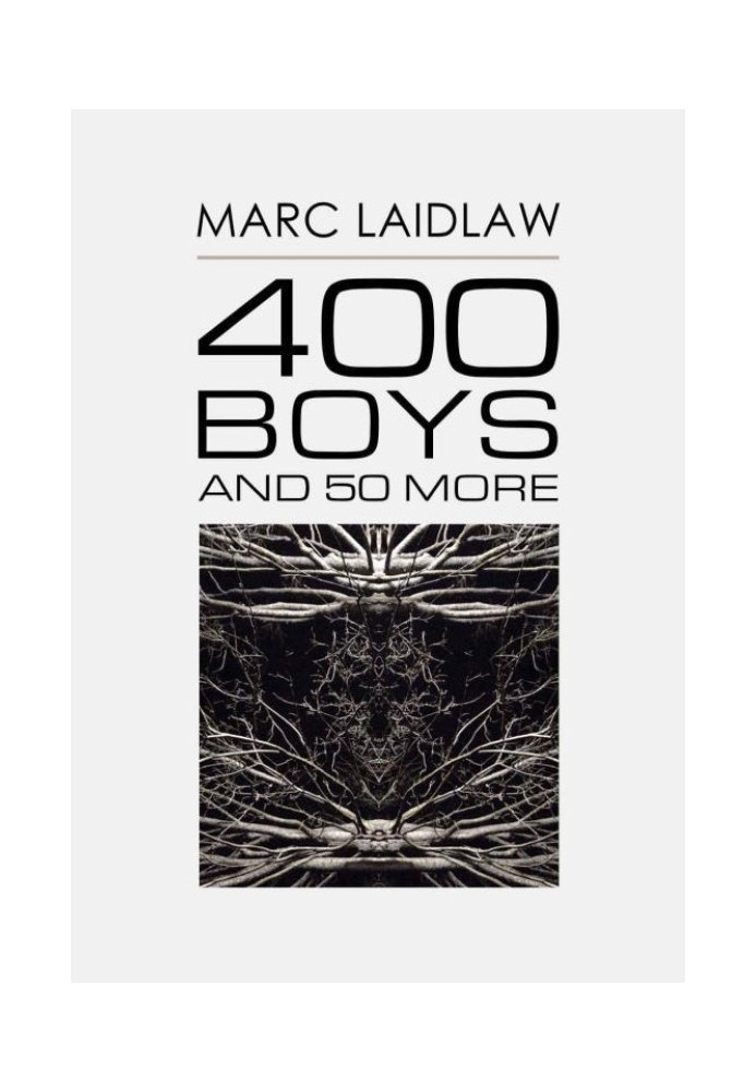 Book 400 Boys and 50 More