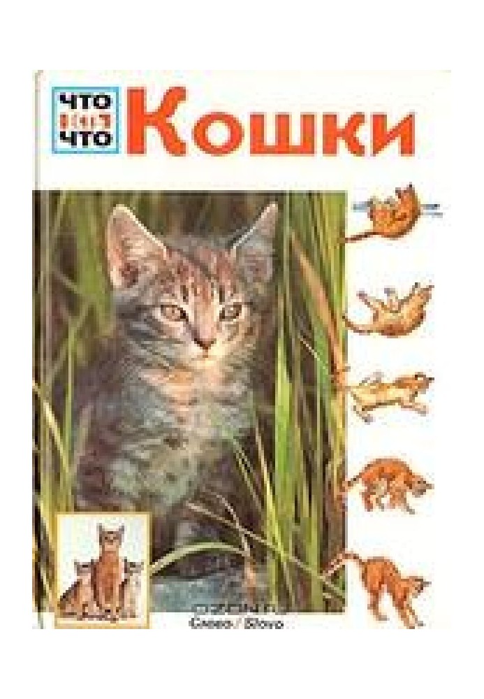 Book Cats