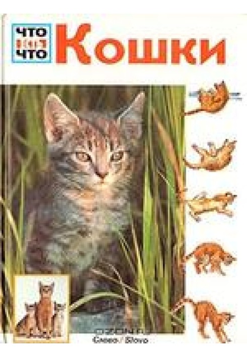 Book Cats