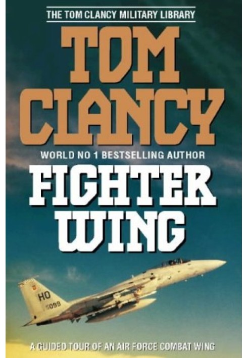 Book Fighter Wing: A Guided Tour of an Air Force Combat Wing
