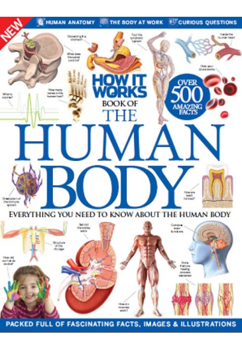 Book The Human Body