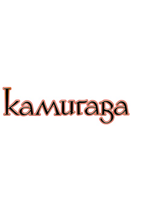 Book Kamigawa: Stories