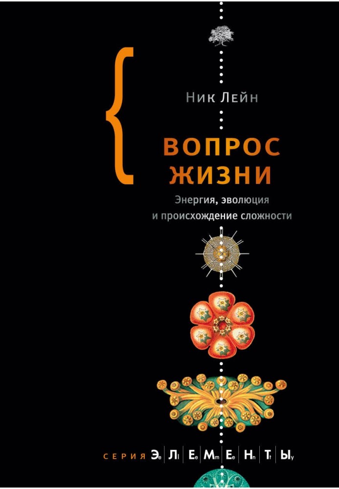 Книга Вопрос жизни. Энергия, эволюция и происхождение сложности