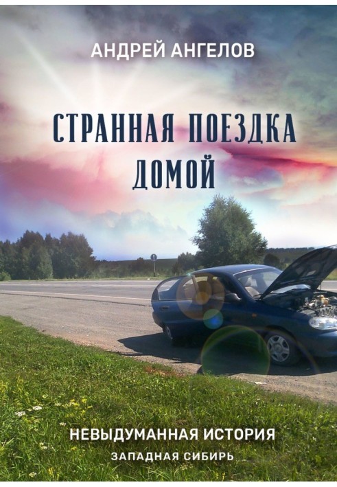 Книга Странная поездка домой