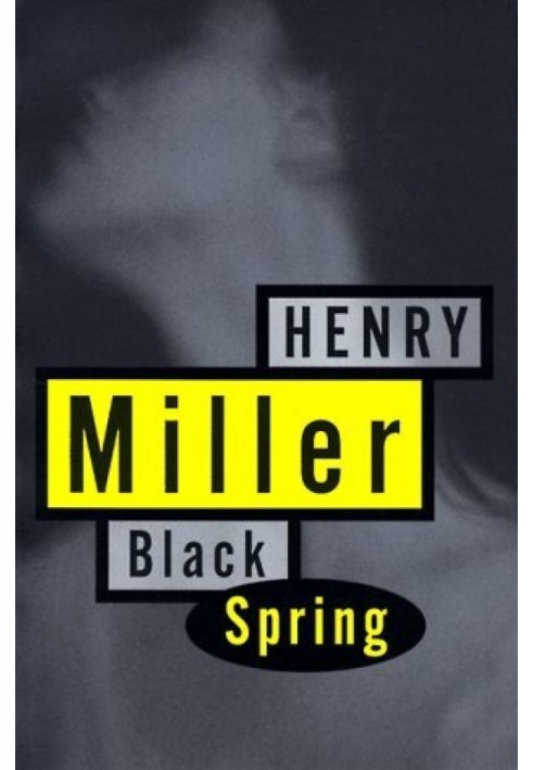 Book Black Spring