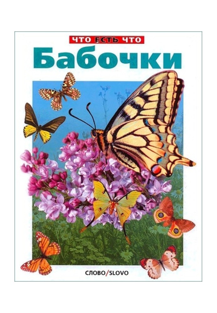 Book Butterflies