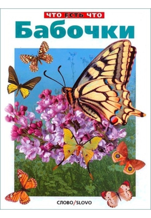 Book Butterflies