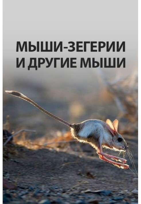 Book Zegeria and other mice