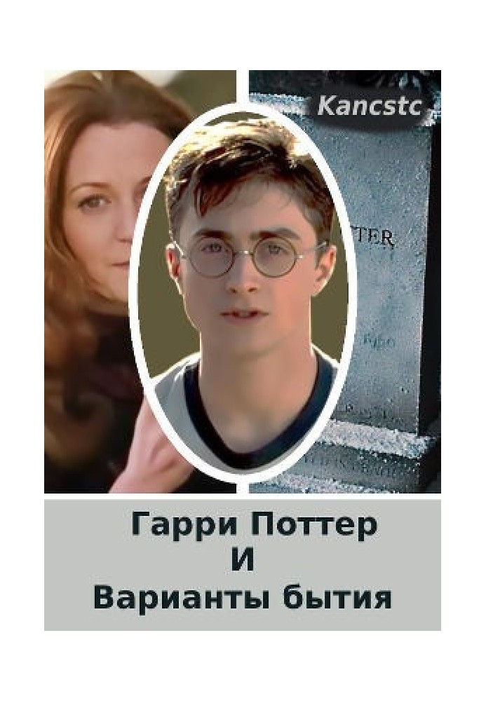 Book Harry Potter and the Variants of Life