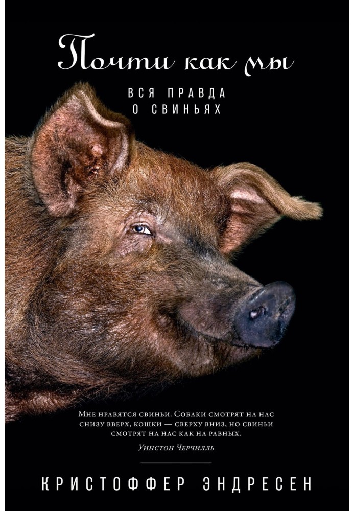 Книга Почти как мы. Вся правда о свиньях