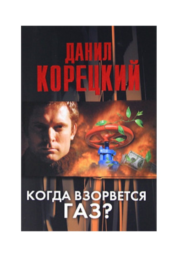Книга Когда взорвется газ?