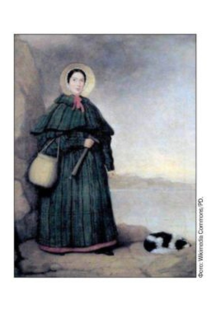 Book The Tale of Amateur Paleontologist Mary Anning
