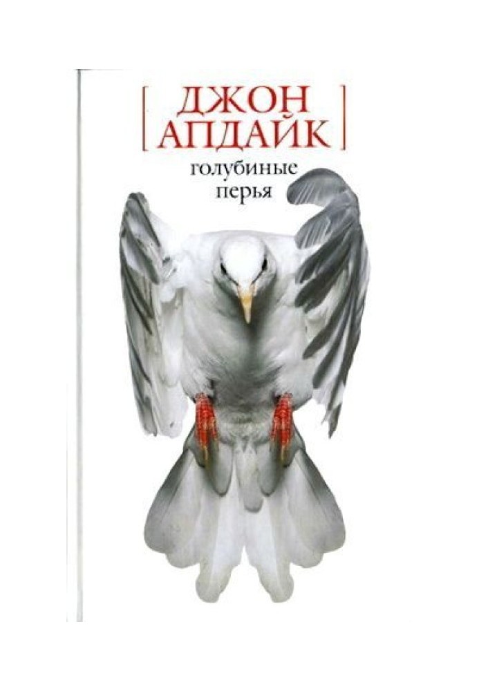Книга Домой