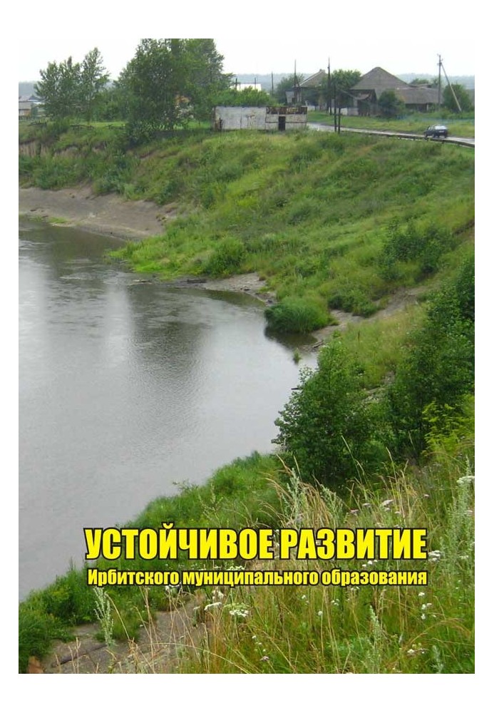 Book Sustainable development of the Irbit municipality, part 1