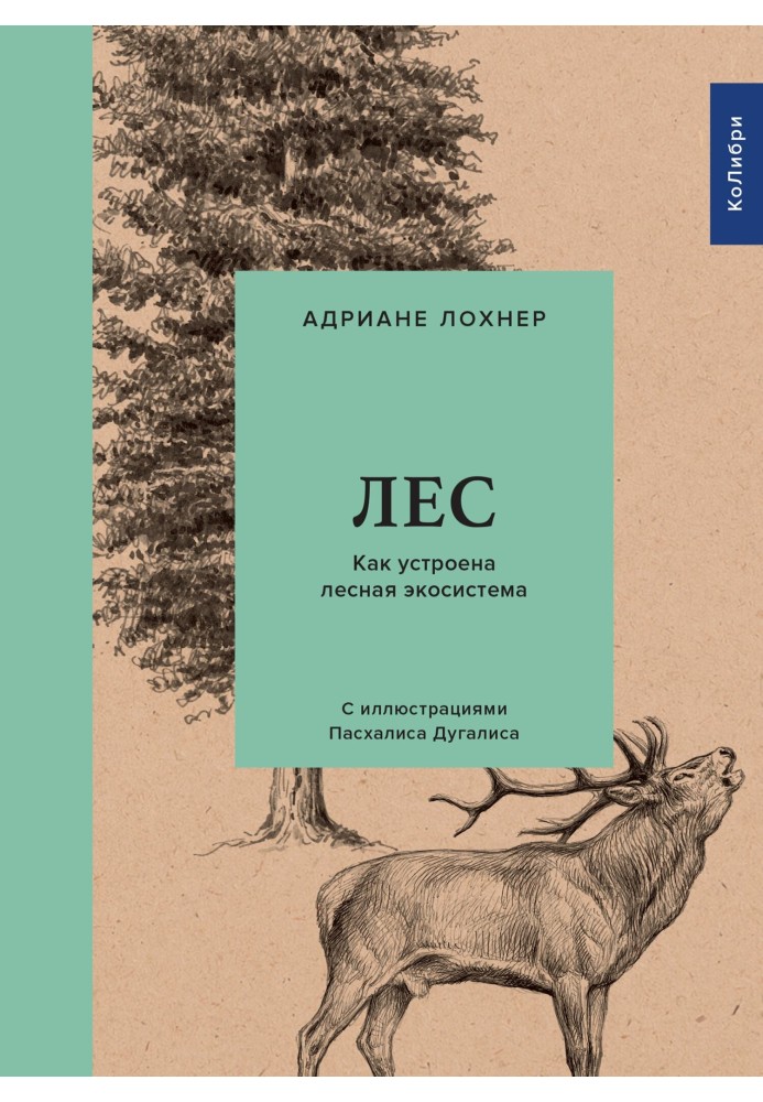 Book Forest. How does a forest ecosystem work?
