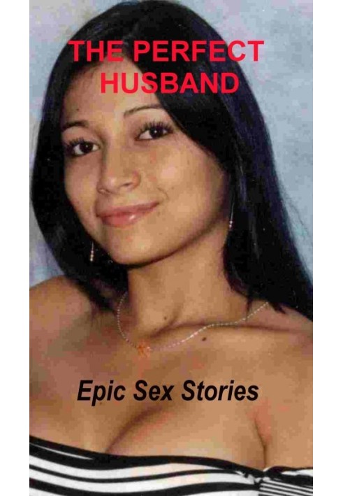 Book The Perfect Husband