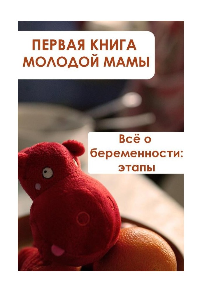 Book Everything about pregnancy: stages