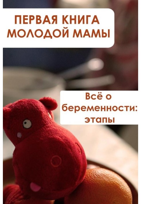 Book Everything about pregnancy: stages