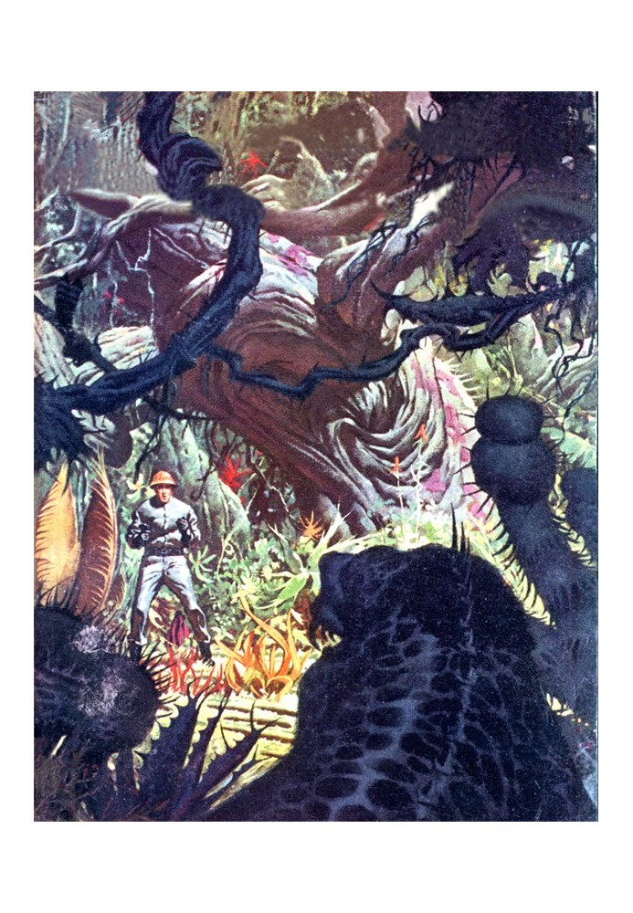 Book Collection "World of Death"