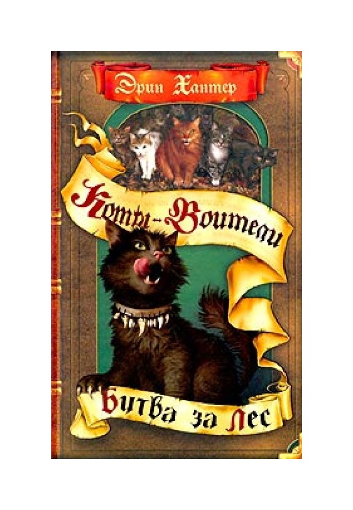 Book Battle for the forest