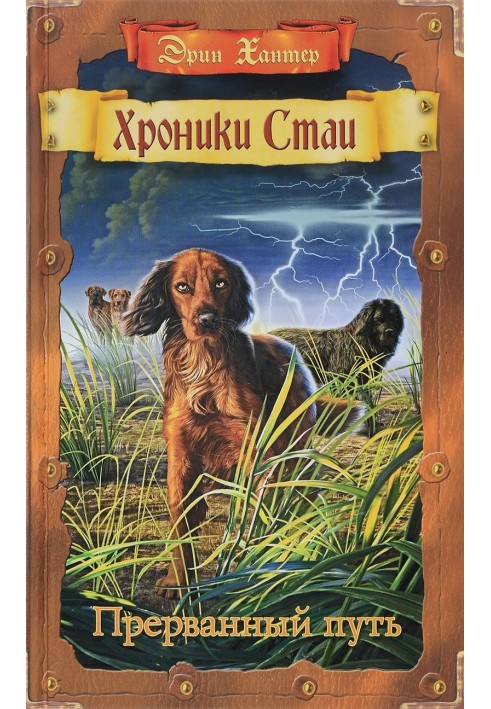 Book Interrupted path